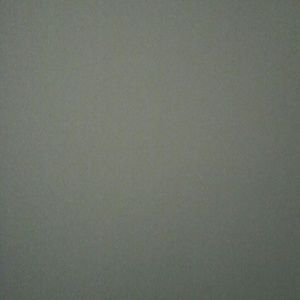 Meet your Posher, Reginald